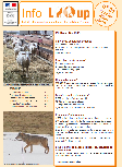 InfoLoup n°31